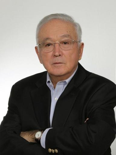 Sübidey Togan